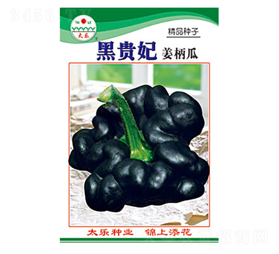 姜柄瓜種子-黑貴妃-太樂種業(yè)
