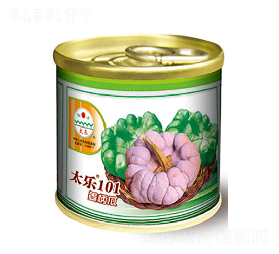 姜柄瓜種子-太樂(lè)101-太樂(lè)種業(yè)