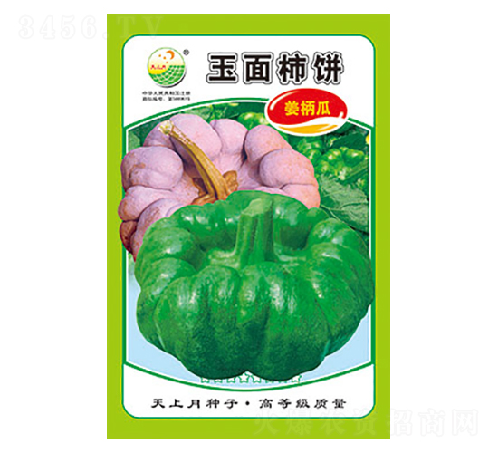 姜柄瓜種子-玉面柿餅-太樂種業(yè)