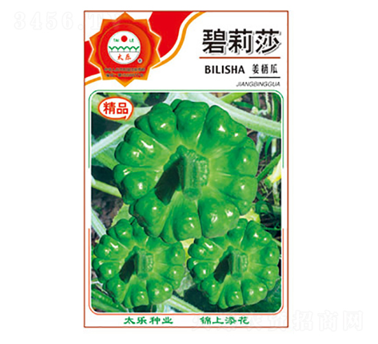 姜柄瓜種子-碧莉莎-太樂種業(yè)