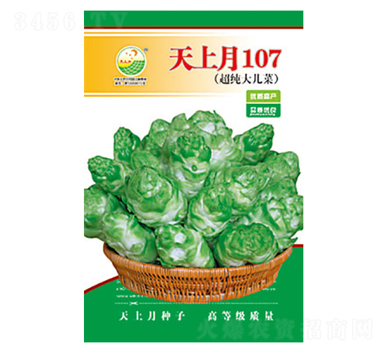 兒菜種子-天上月107-太樂(lè)種業(yè)