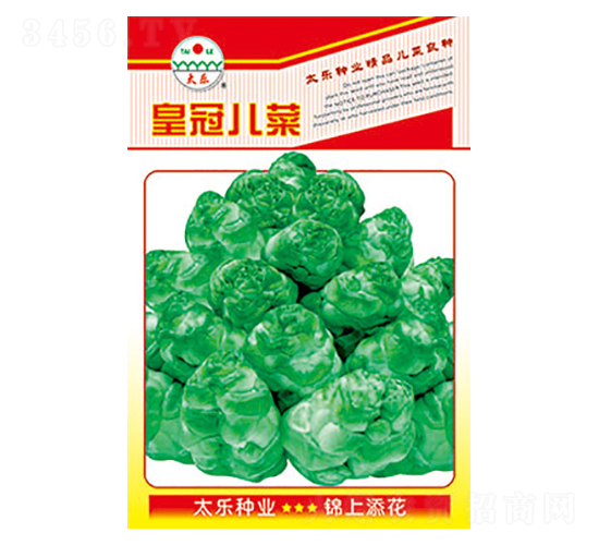 兒菜種子-皇冠兒菜-太樂種業(yè)