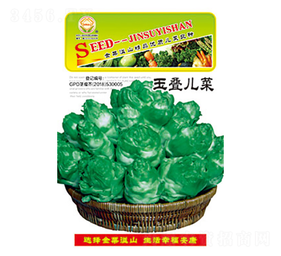 兒菜種子-玉疊兒菜-太樂種業(yè)