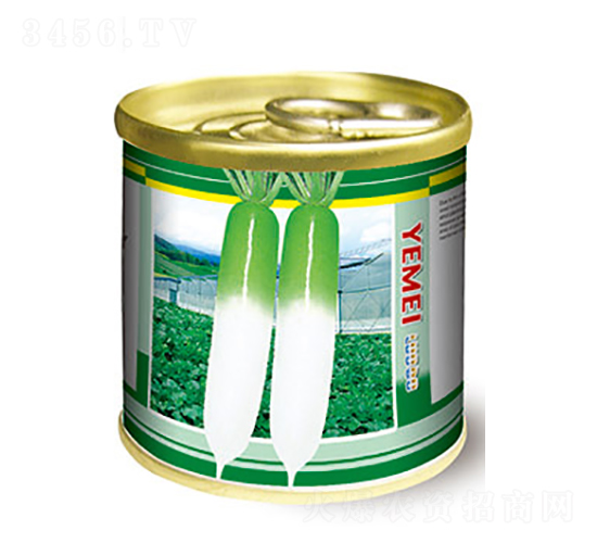 蘿卜種子-罐頭蘿卜-太樂種業(yè)