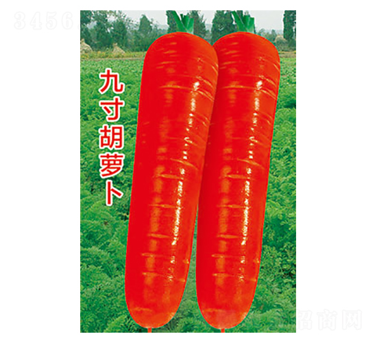 �}���N��-�Ŵ���}��-̫���N�I(y��)