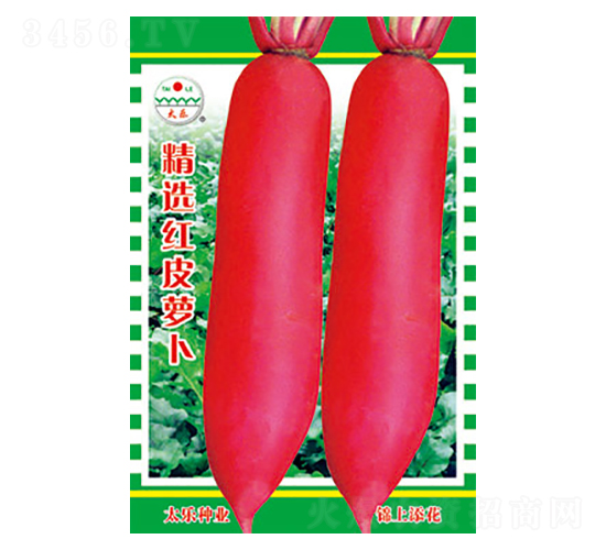 蘿卜種子-精選紅皮蘿卜-太樂種業(yè)