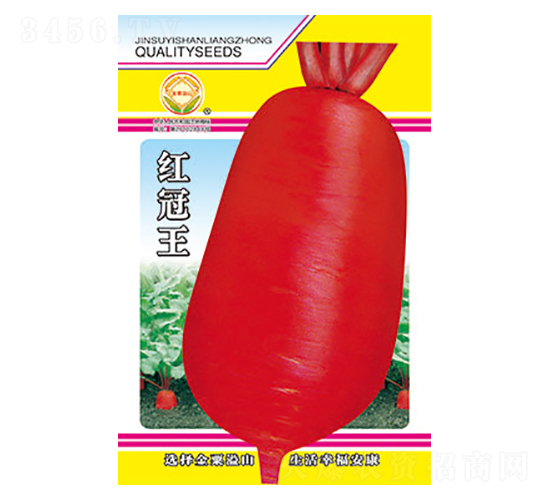 蘿卜種子-紅冠王-太樂(lè)種業(yè)