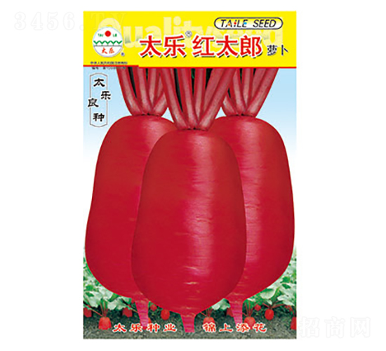 蘿卜種子-太樂紅太郎-太樂種業(yè)