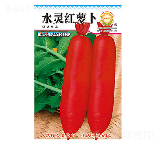 蘿卜種子-水靈紅蘿卜-太樂種業(yè)