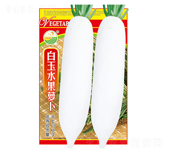 蘿卜種子-白玉水果蘿卜-太樂種業(yè)