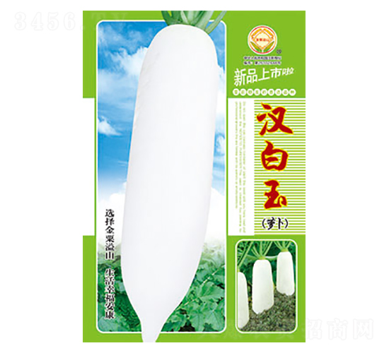 蘿卜種子-漢白玉-太樂種業(yè)