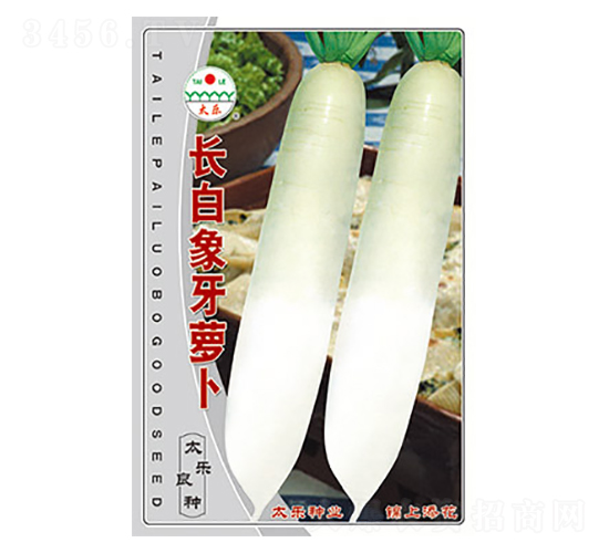 蘿卜種子-長(zhǎng)白象牙蘿卜-太樂種業(yè)