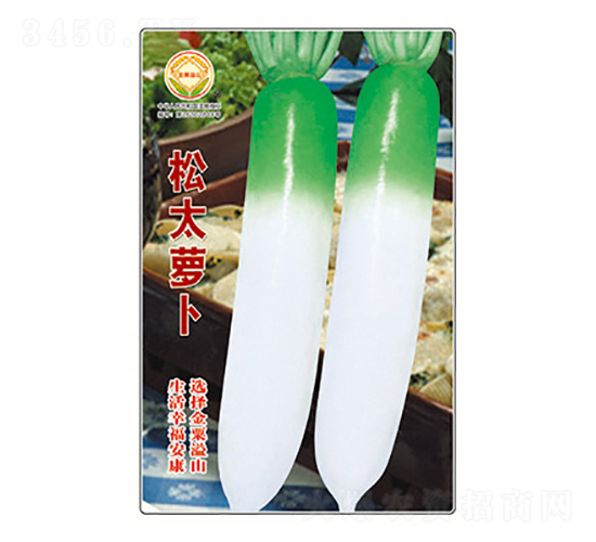 蘿卜種子-松太蘿卜-太樂種業(yè)