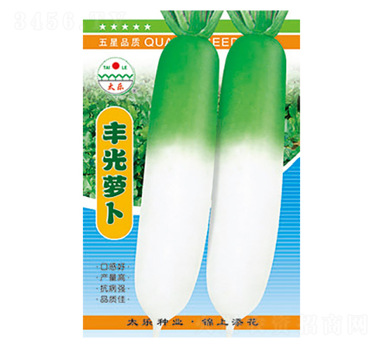 蘿卜種子-豐光蘿卜-太樂種業(yè)