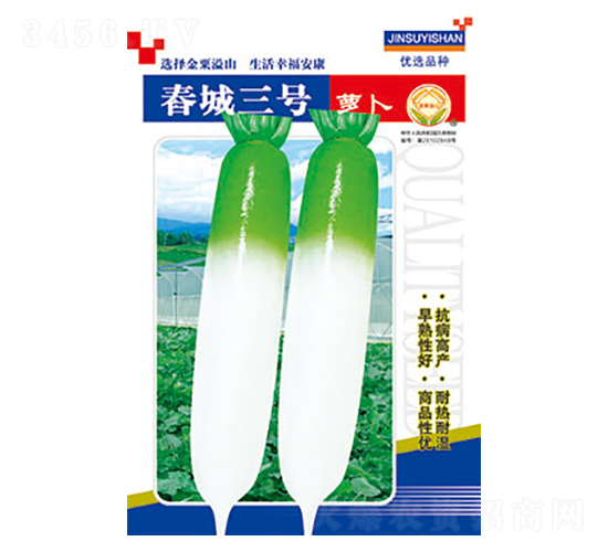 蘿卜種子-春城三號-太樂種業(yè)