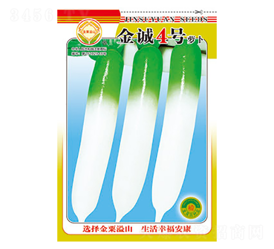 蘿卜種子-金誠4號-太樂種業(yè)