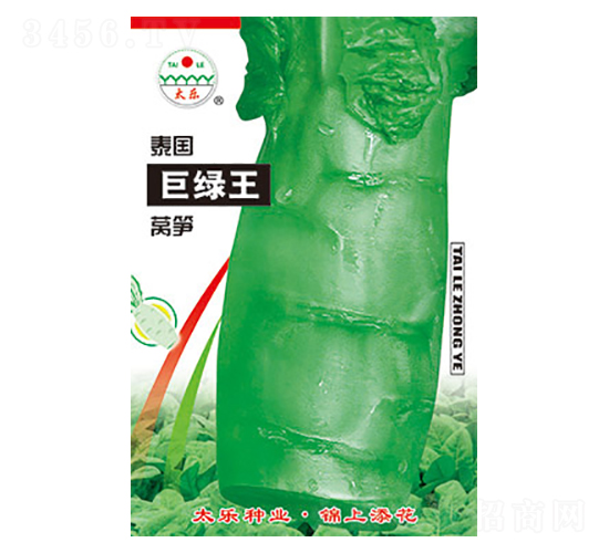 萵筍種子-泰國巨綠王-太樂種業(yè)