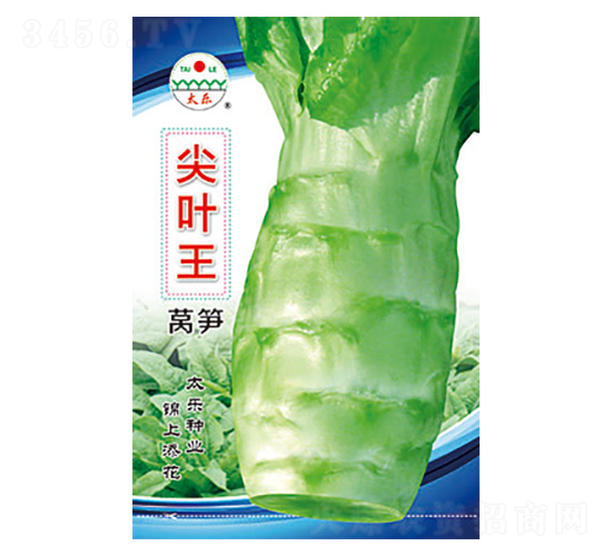 萵筍種子-尖葉王-太樂種業(yè)