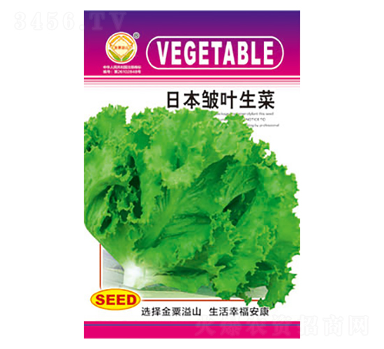 生菜種子-日本皺葉生菜-太樂種業(yè)