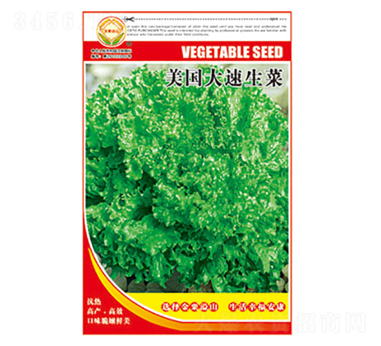 生菜種子-美國大速生菜-太樂種業(yè)