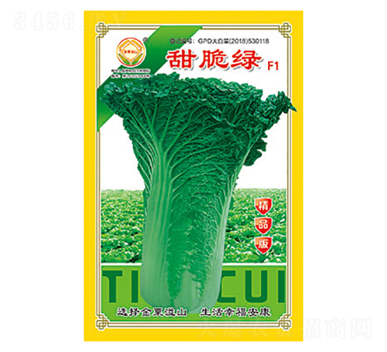 白菜種子-甜脆綠精品版-太樂種業(yè)