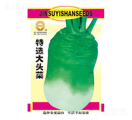 特選大頭菜-太樂種業(yè)