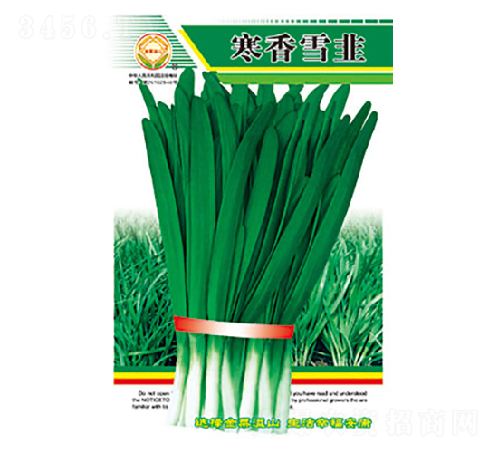 韭菜種子-寒香雪韭-太樂種業(yè)