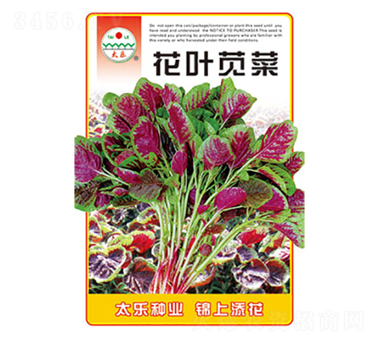 莧菜種子-花葉莧菜-太樂種業(yè)