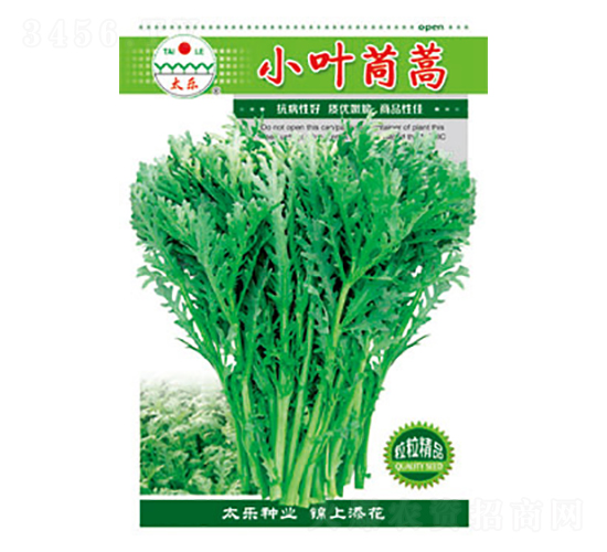 茼蒿種子-小葉茼蒿-太樂種業(yè)