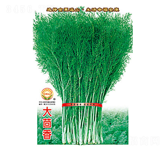 ������-̫��(l��)�N�I(y��)