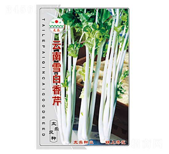 云南雪白香芹-太樂種業(yè)