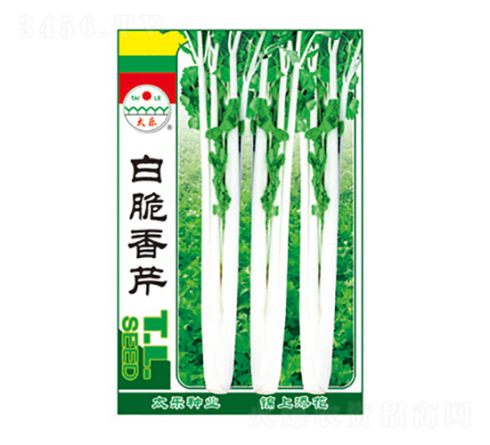白脆香芹-太樂種業(yè)