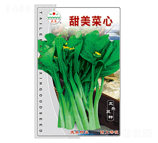 甜美菜心-太樂(lè)種業(yè)