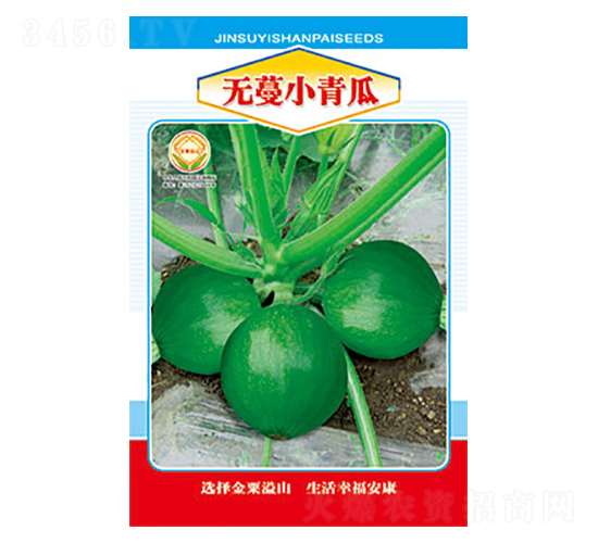 無蔓小青瓜-太樂種業(yè)