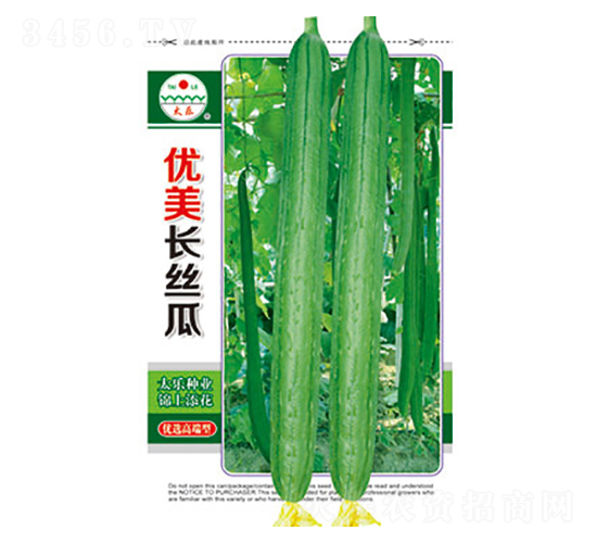絲瓜種子-優(yōu)美長絲瓜-太樂種業(yè)