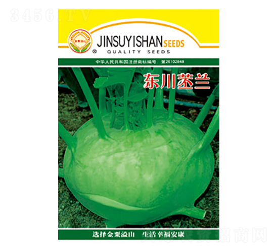苤蘭種子-東川苤蘭-太樂種業(yè)