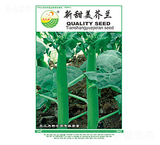 芥蘭種子-新甜美芥蘭-太樂(lè)種業(yè)
