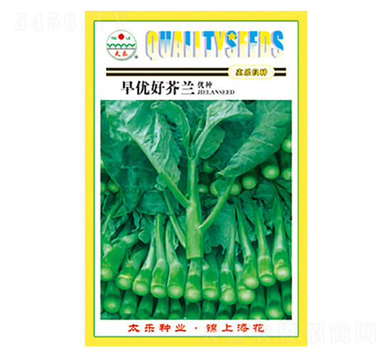 芥蘭種子-早優(yōu)好芥蘭-太樂種業(yè)