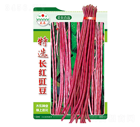 豇豆種子-特選長紅豇豆-太樂種業(yè)