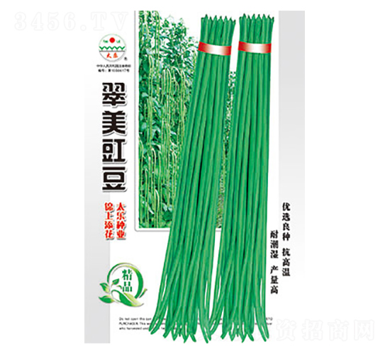 豇豆種子-翠美豇豆-太樂種業(yè)