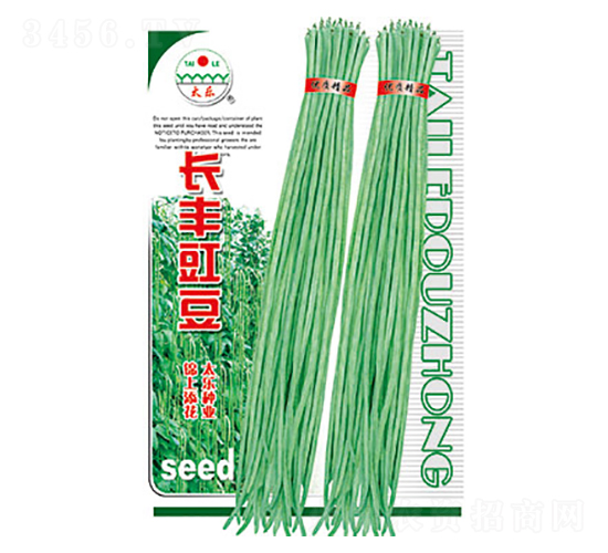 豇豆種子-長豐豇豆-太樂種業(yè)