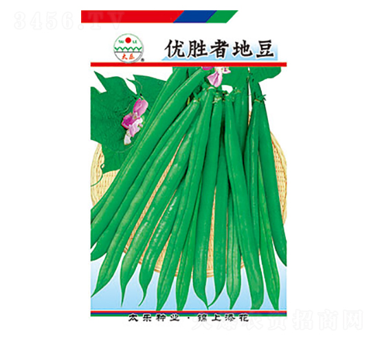 豇豆種子-優(yōu)勝者地豆-太樂種業(yè)
