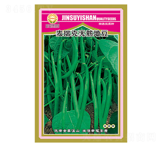 豇豆種子-麥瑞克無筋地豆-太樂種業(yè)