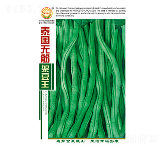 豇豆種子-泰國(guó)無(wú)筋架豆王-太樂(lè)種業(yè)