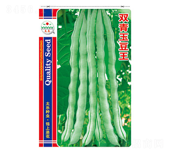 豇豆種子-雙青玉豆王-太樂種業(yè)