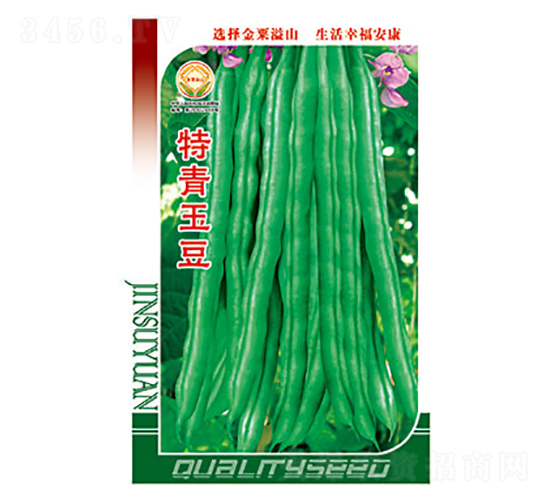 豇豆種子-特青玉豆-太樂種業(yè)