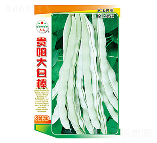 豇豆種子-貴陽(yáng)大白棒-太樂(lè)種業(yè)