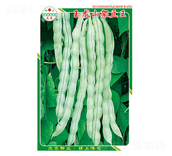 豇豆種子-玉龍山架豆王-太樂種業(yè)