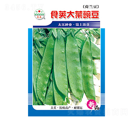 豌豆種子-食莢大菜豌豆-太樂種業(yè)