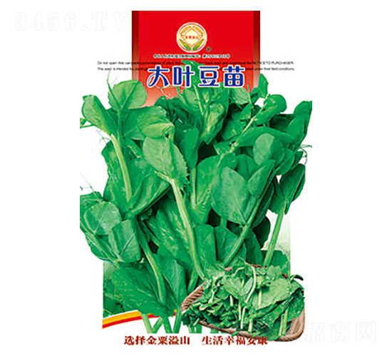 大葉豆苗-太樂種業(yè)